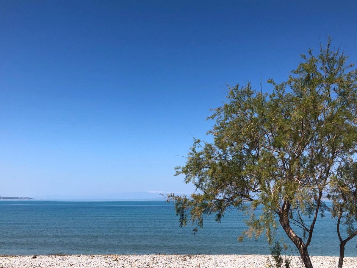 Casa Cuore Modern Stay Near The Sea Kato Assos Екстер'єр фото